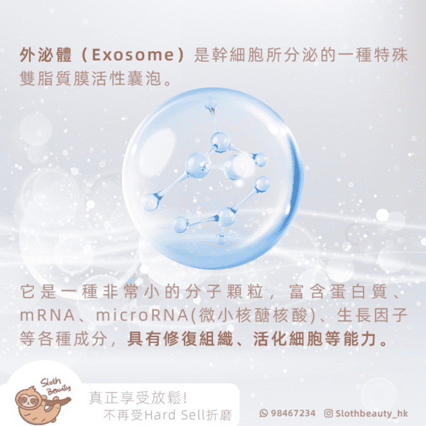 【極致修護】Exosome 外泌體導入 Facial - Image 2